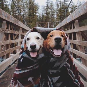 Meet your Posher, Quentin